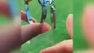 Bb nbrik o nmout 3lik
