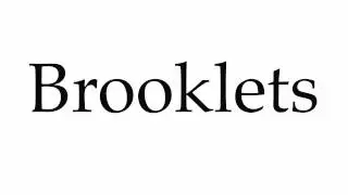 How to Pronounce Brooklets