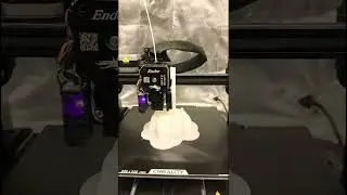 Creality Ender 3 V3 SE + Octoprint