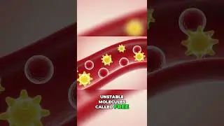 Free Radicals Attacking Cells: Your Body's Hidden War!