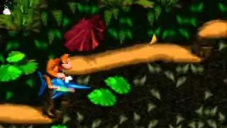 Donkey Kong Country Hacks
