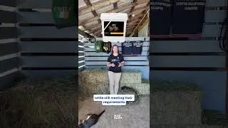 Part 1: Forage-Based Diets for Overweight or Easy Keeper Horses 🐴🌿