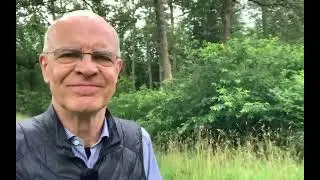 Parterapeut Frederiksberg - Symptombehandling eller &aring;rsagsbearbejdning