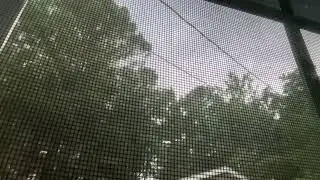 Invest 93L