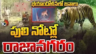LIVE : పులి నోట్లో రాజానగరం..భయాందోళనలో జనాలు | Leopard Tension in Rajanagaram  |10TV News