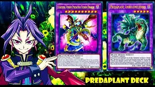 (YGOPRO)Predaplant deck,Starving Venom Predator Fusion Dragon,Dimension Force