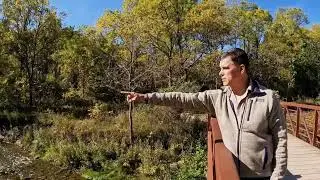Restoring Nature&rsquo;s Balance: A Walk Through a River Valley | Old Fields, Forests & Invasive Species