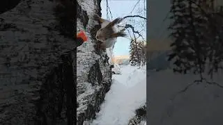 &laquo;Когда даже вселенная хочет, чтобы ты&nbsp;поел&raquo; 🐿️🪐When even the universe wants you to eat. #squirrel