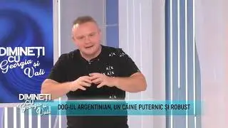 Mihai Nae @ Metropola Tv🖥️ ( Dimineti  cu Georgia si Vali)Diego cel mai frumos Dog Argentinian