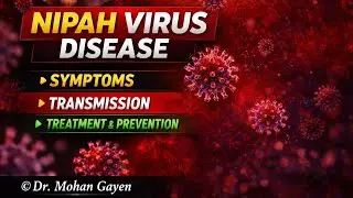 Nipah Virus Outbreak India 2026 | Symptoms, Spread, Treatment & Prevention Explained | © Dr. Mohan