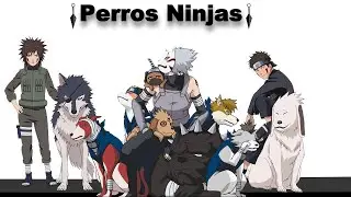 Explicaci&oacute;n: Perros Ninjas de Naruto Sorprendentes - Naruto