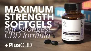 PlusCBD Maximum Strength Softgels | Our Strongest CBD Formula