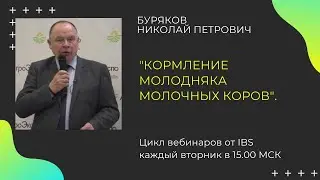 КОРМЛЕНИЕ МОЛОДНЯКА МОЛОЧНЫХ КОРОВ  Лектор : Буряков Николай Петрович