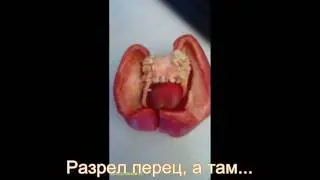 Природа часть №1