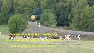 2018 Safari CFBocq Senenne