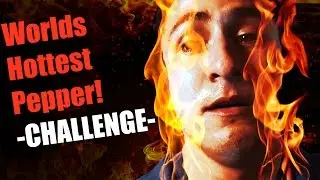 Worlds hottest Pepper Challenge- 3 guys vs Carolina Reaper