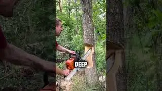 This tree CUTTING trick is GENIUS 👀