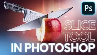 Photoshop Slice Tool Explained in Malayalam | Slice Tool ഉപയോഗിക്കേണ്ട വിധം