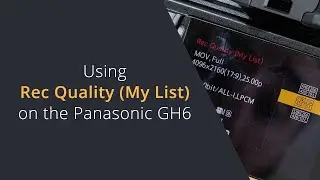 Using Rec Quality My List On Lumix Cameras | Custom Shooting Menus / Lists on the Panasonic GH6