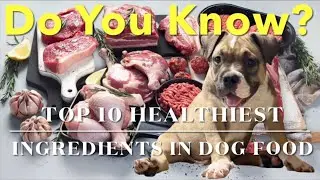 Ingredients That IMPROVE Dog&rsquo;s Strength, Power, Energy To HELP Build MUSCLE TONE HEALTHY SKIN & HAIR