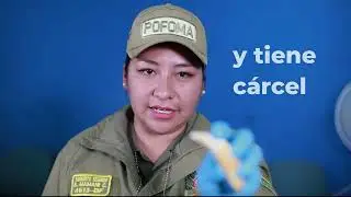 #7 Videos de la campaña de tráfico de vida silvestre en aeropuertos