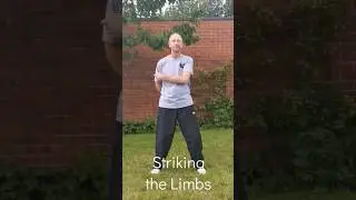 Qigong Meditation - Striking the Limbs - Health Benefits with instruction Sifu Paul Nathan