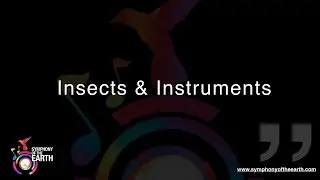Insects & Instruments - Symphony of the Earth Interview - Dr Jim Frazier