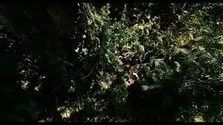 Apocaliptyo .  The tactical escape scene