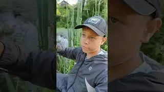 Поплавочной спиннинг Narval Micro-n 🤣 #рыбак #fishing #рыбалка #снасти #орел #трофей #ловля #река