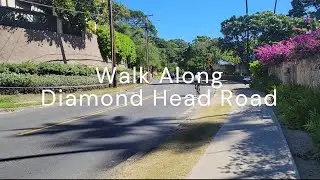 Exploring Diamond Head Road: A Serene Coastal Walk in Hawaii