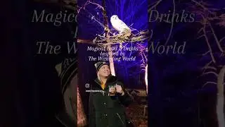 Harry Potter: The Forbidden Forest Experience - 2023 Review