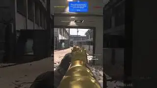 How to get Loadout Guns in the Gulag
