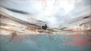 ArcheAge 3.0 MMORPG Scenic - No UI Trade Pack Run 2