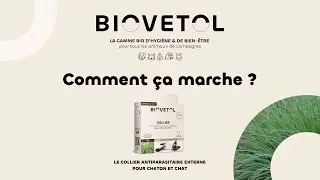 Conseils d'Expert #21 : Utilisation du Collier Antiparasitaire Chat et Chaton Biovetol par Rominette