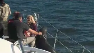 Walvis Bay Boat Trip near Walvis Bay Namibia