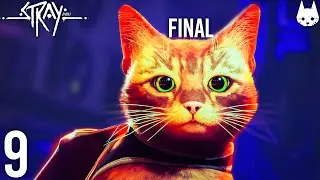 Al-CAT-raz i... wolność? | Stray PL 4K [#9][FINAL]
