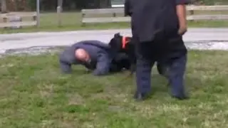 Dog Aggression towards Humans 
