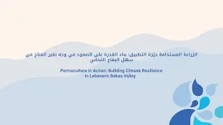 Permaculture in Action: Building Climate Resiliencein Lebanon's Bekaa Valley