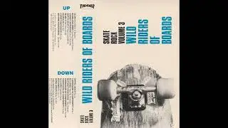 Various &ndash; Thrasher Skate Rock Volume 3 - Wild Riders Of Boards