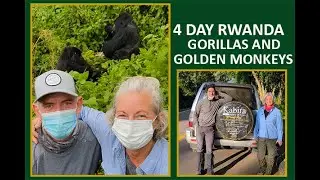 Rwanda Gorilla Trekking |4 Day Gorilla Trekking Rwanda and kigali city tour #vlogs #shots #wildlife