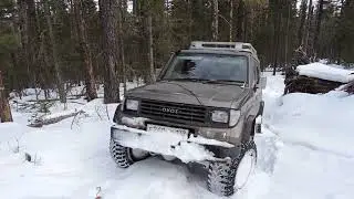 Черная грива 2 3 марта
