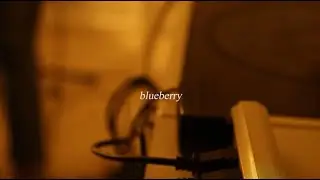 Blueberry - Ally Dean (Lyric Video)
