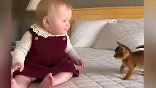 Cat playing with babie very funny Cat 