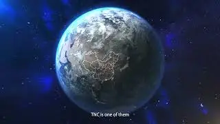 TNC Switch and socket