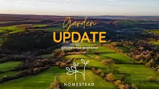 Homestead Kitchen Garden - a new field for 2026