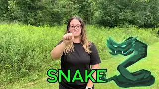 ASL SNAKE