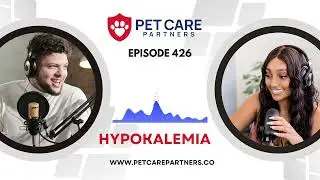 EP 426: Hypokalemia in Dogs & Cats – Diagnosis, Causes & Critical Care | Pet Care Partners Podcast