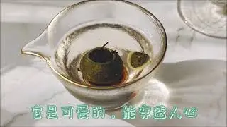 Xiaguan Tuocha - 2016 Xiao Gan Pu | 下关沱茶 2016年 小柑普