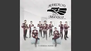 Así Como David Danzaba