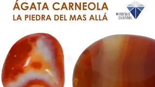 &Aacute;GATA CARNEOLA [Propiedades m&aacute;gicas de la cornalina][MINERAL]